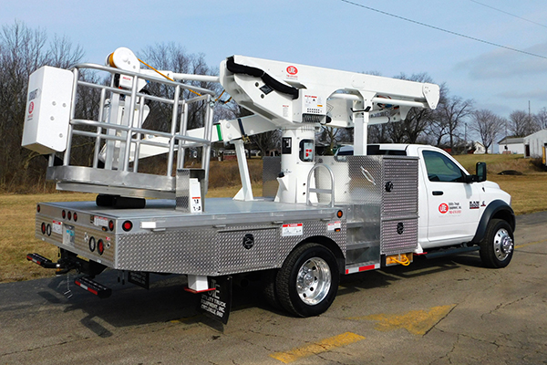 Sign Shark Back 3/4 view